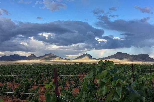 Oso Grande Wine Tours