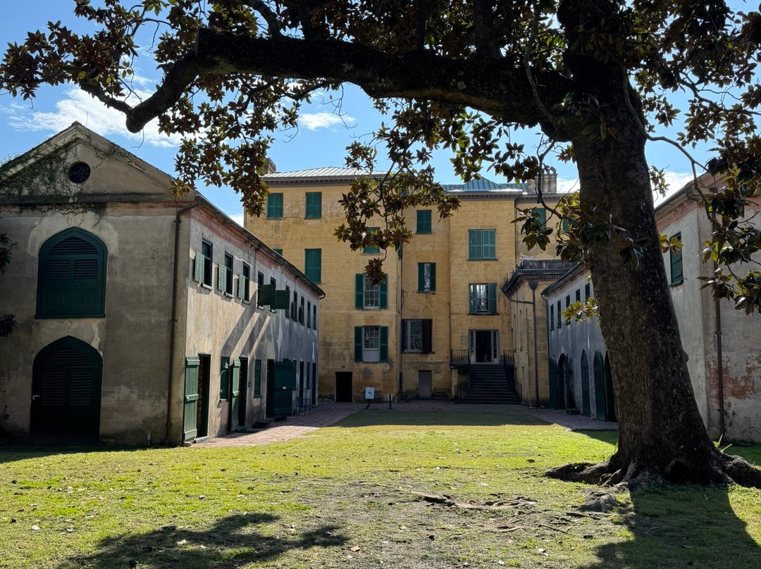 Aiken-Rhett House-查尔斯顿必去景点