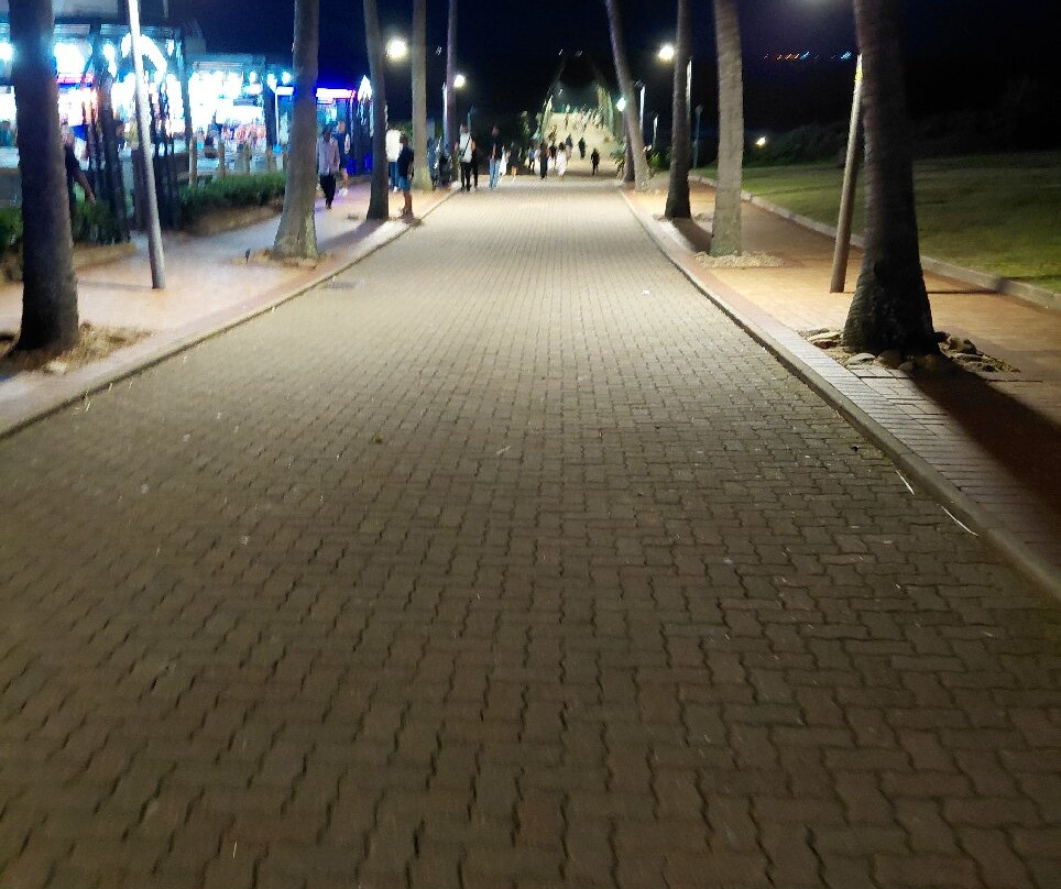 德班乌姆兰加-丽笙蓝标酒店主图