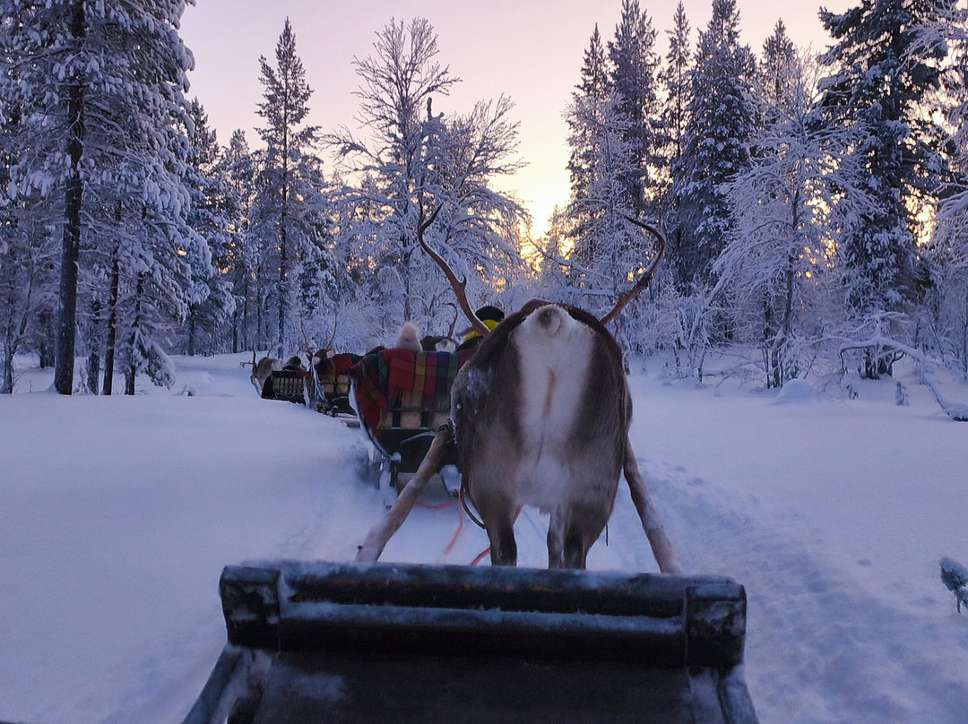 Saariselka Reindeer Farm-撒利塞卡必去景点
