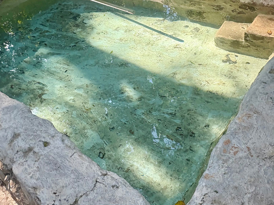 Aguas Termales Nuevo Ixtlan-Rincon de Guayabitos必去景点