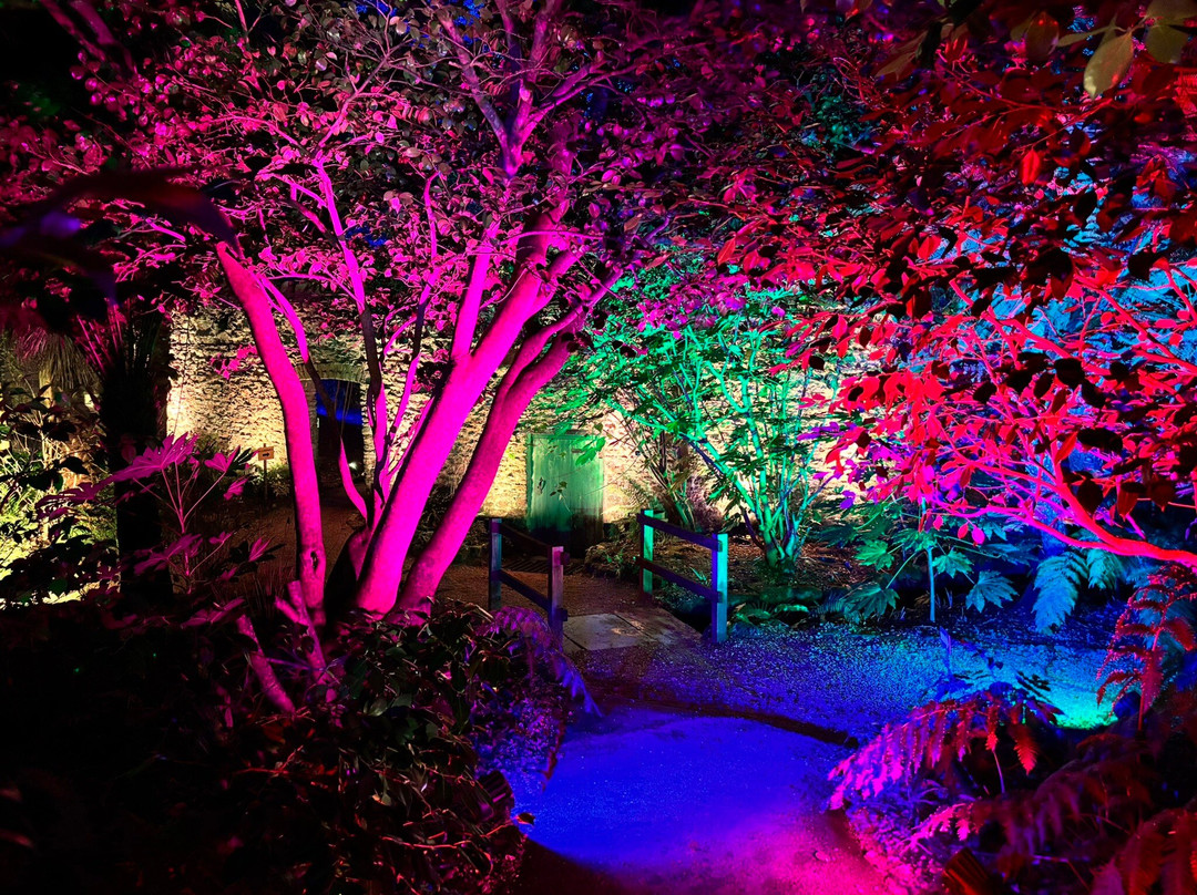 Abbotsbury Subtropical Gardens-Abbotsbury必去景点