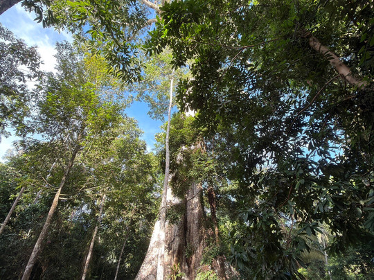 Colombia Remote Adventures-莱蒂西亚必去景点