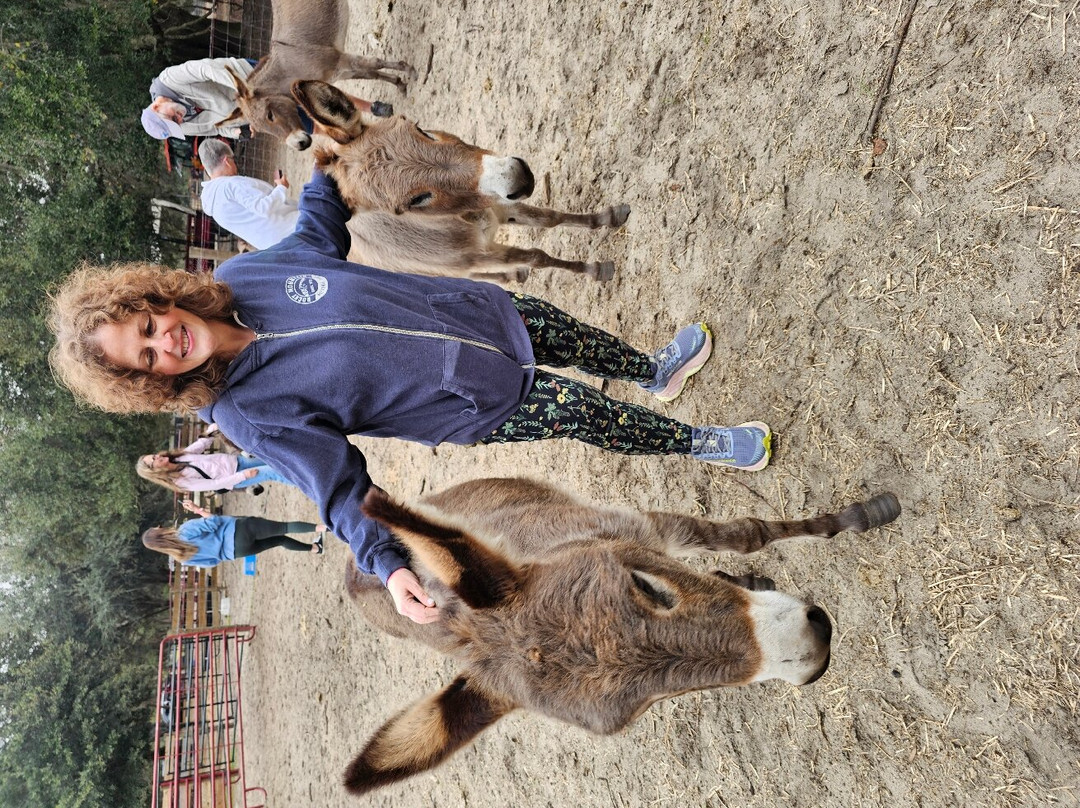 Whispering Oaks Miniature Ranch