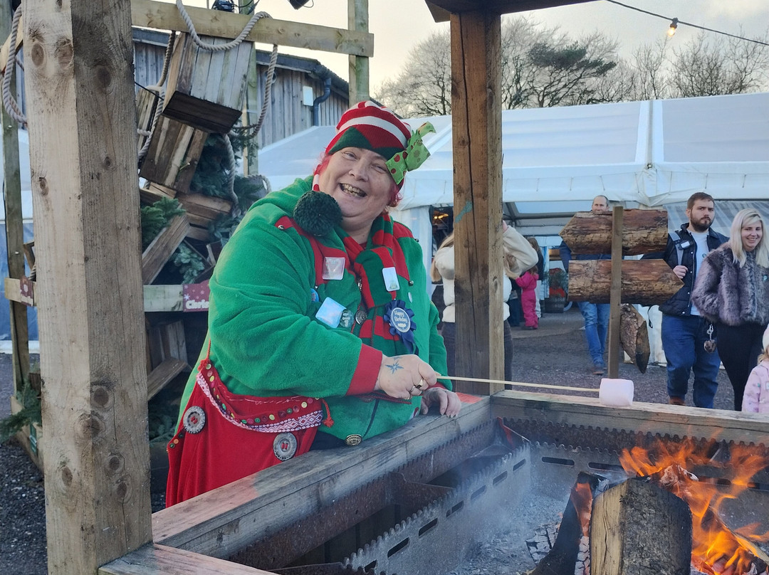 Pennywell Farm-Buckfastleigh必去景点