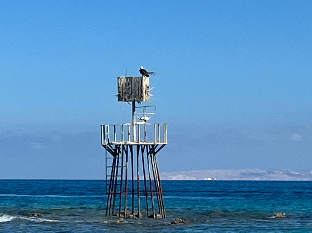 Luxreisen – Ausflüge & Touren in Hurghada-赫尔格达必去景点