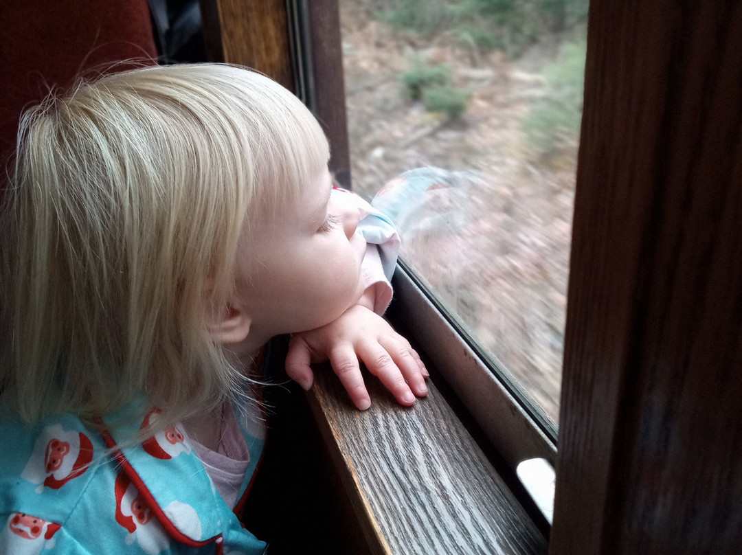 Belfast & Moosehead Lake Railroad-贝尔法斯特必去景点