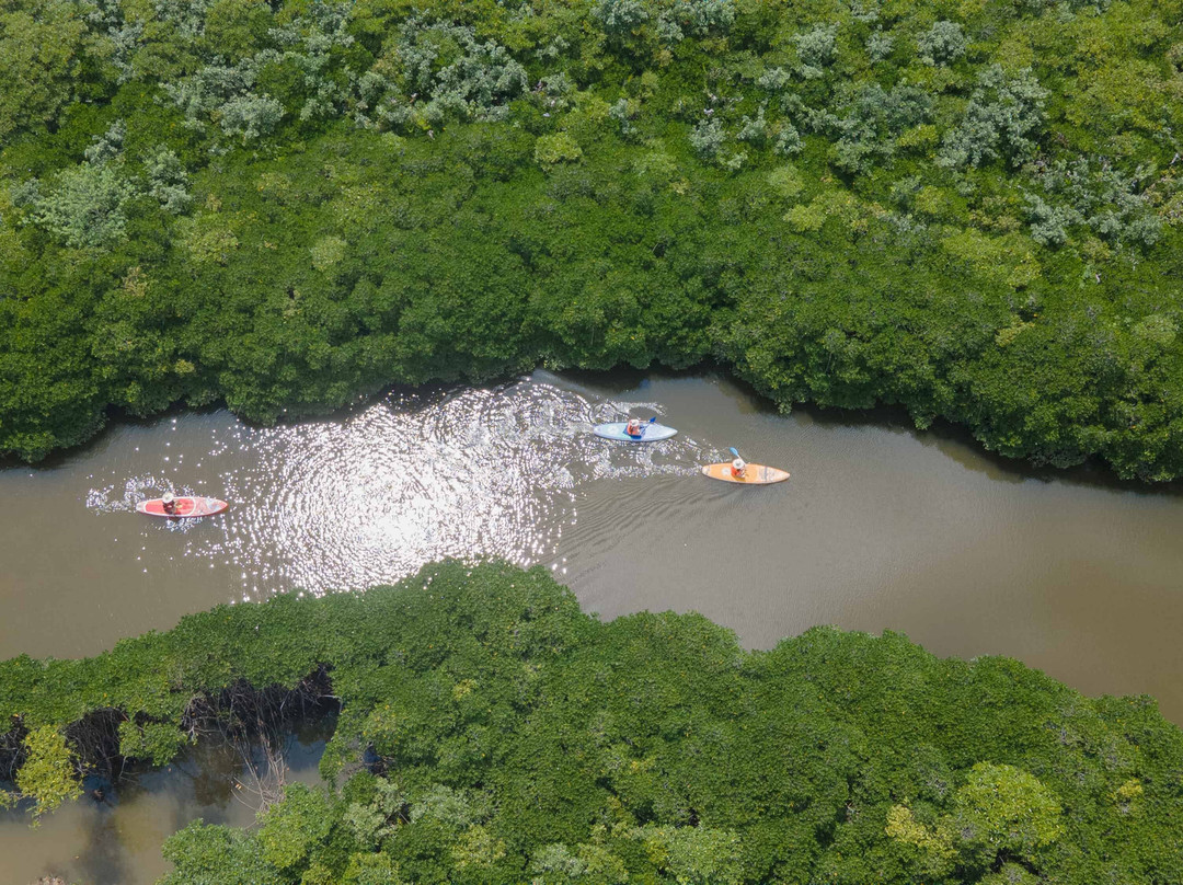 Hoa Cuong cave-Gia Luan必去景点