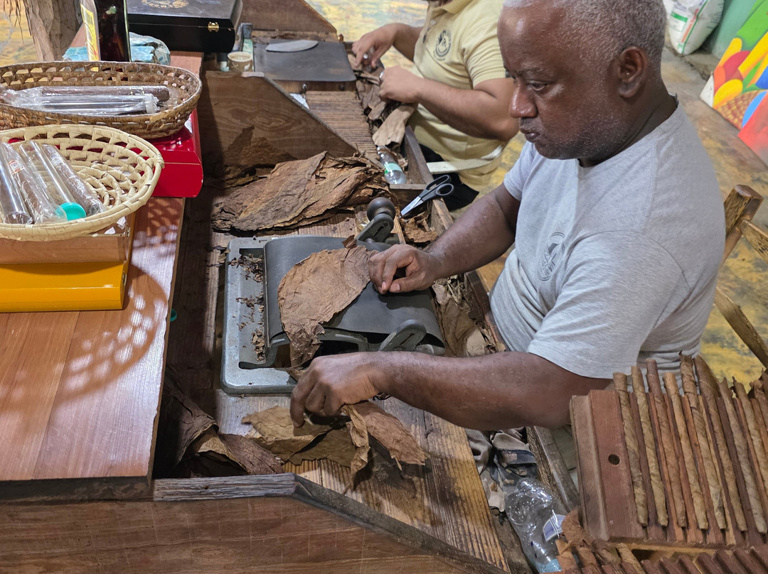 Monkey Home Puerto Plata-普拉塔港必去景点