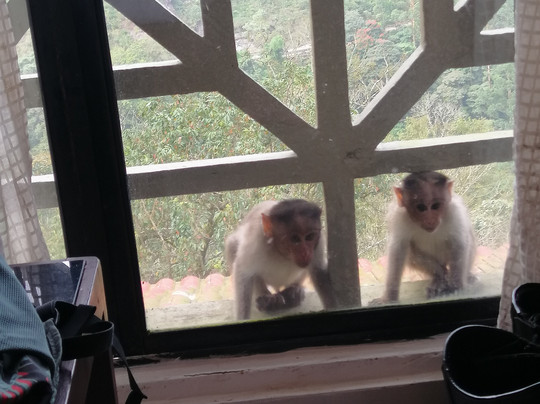 Indian Rides-斋蒲尔必去景点