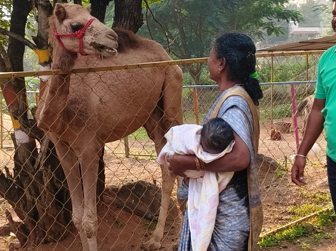 Cloud Forest Entertainment Park-Yelagiri必去景点