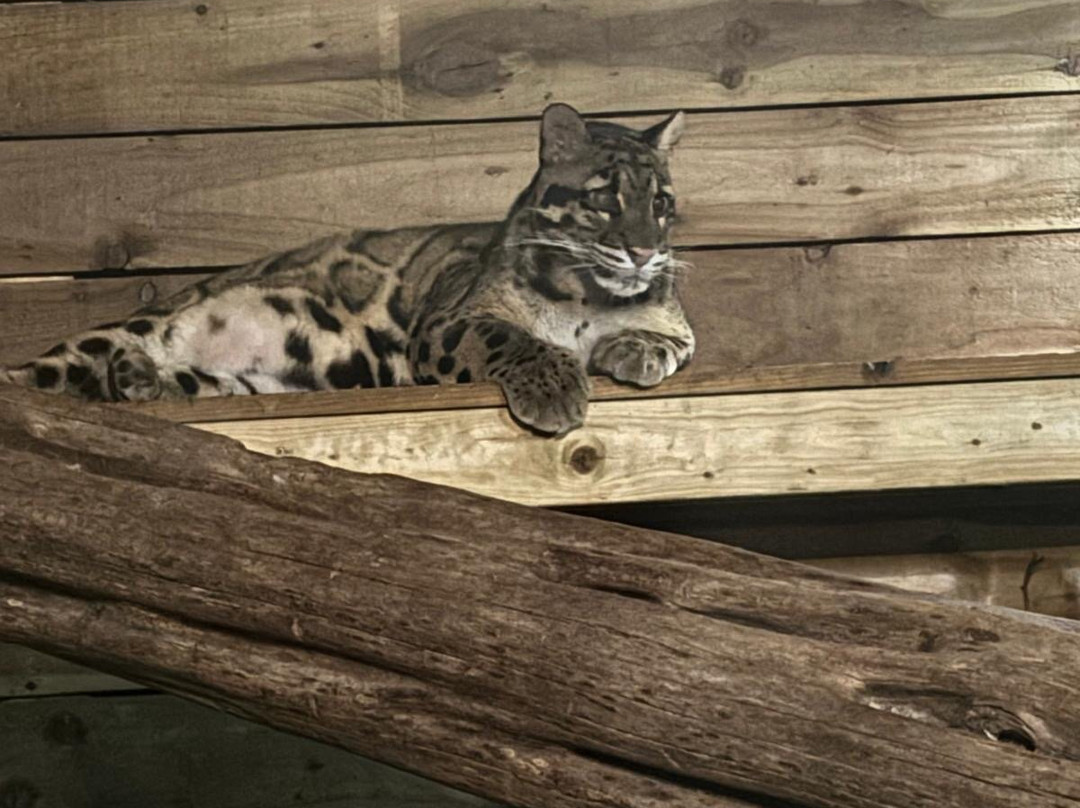 Wingham Wildlife Park-Wingham必去景点