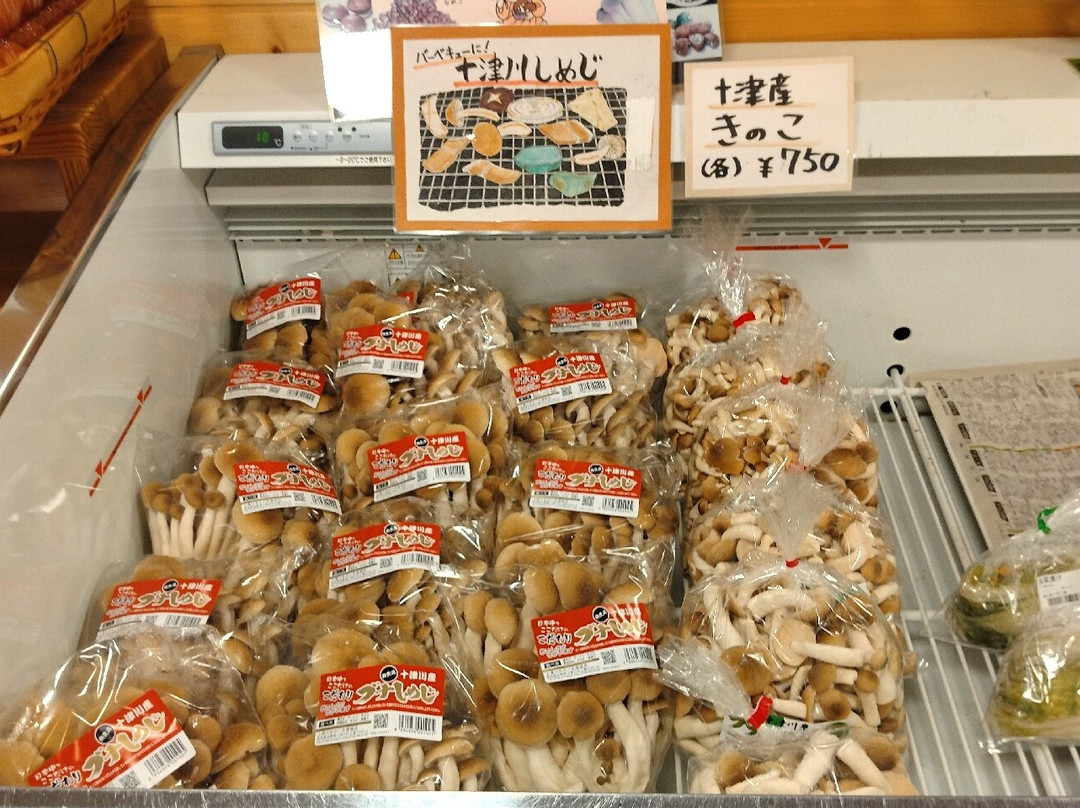 Totsugawago Michi-no-Eki-十津川村必去景点