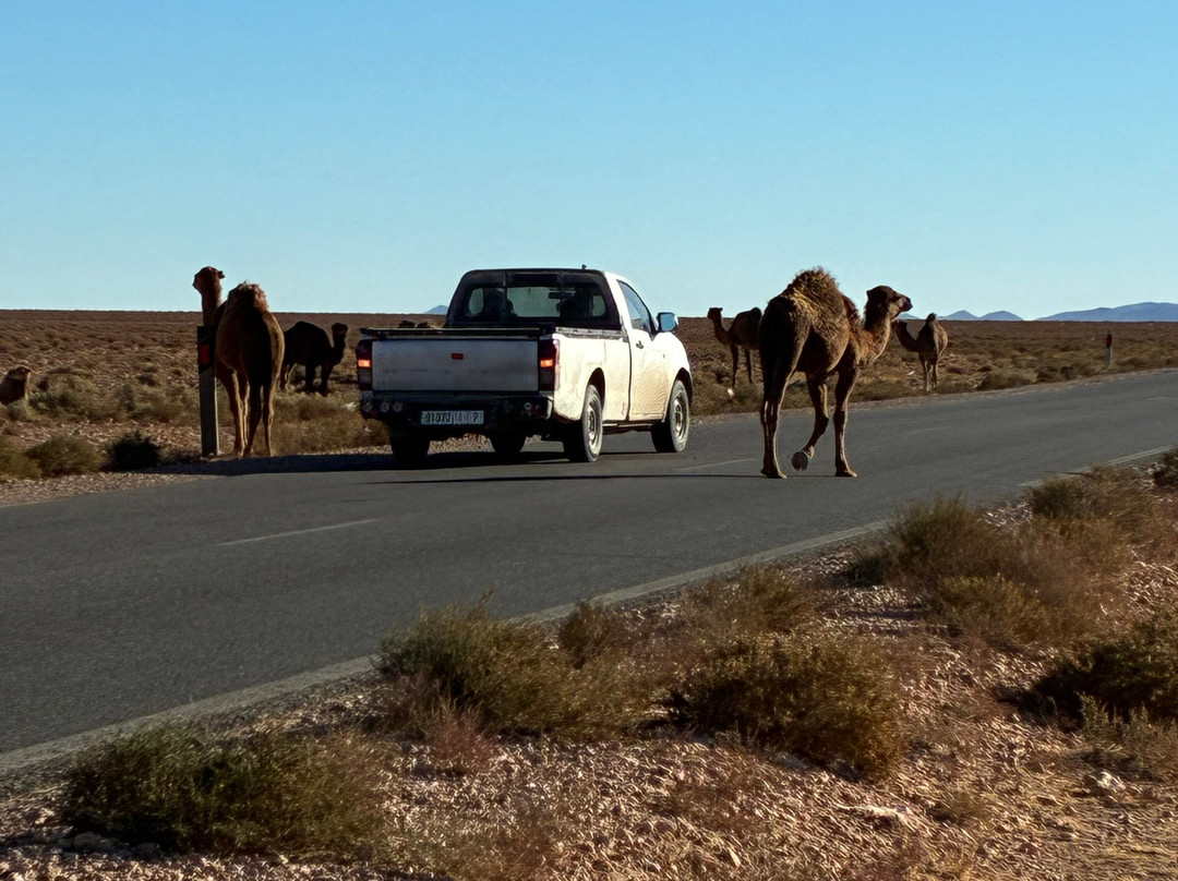 Discover Morocco Trips-非斯必去景点