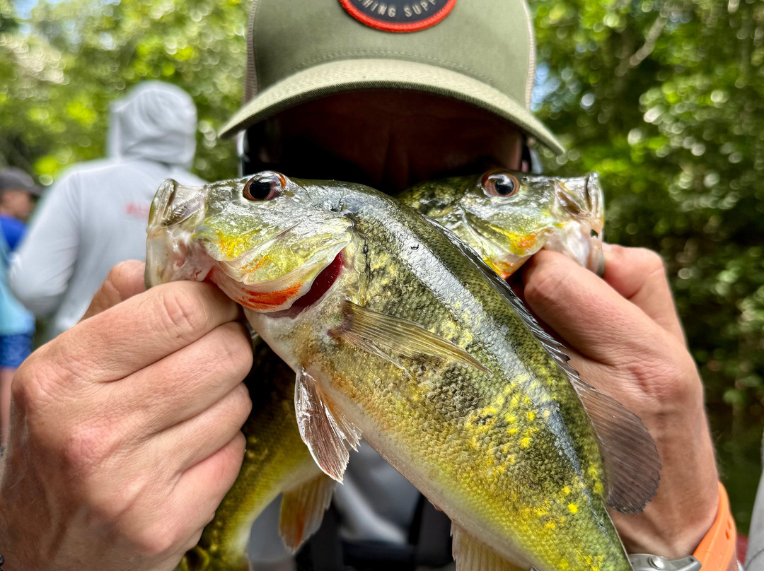 Gatun Sport Fishing Lodge-巴拿马城必去景点