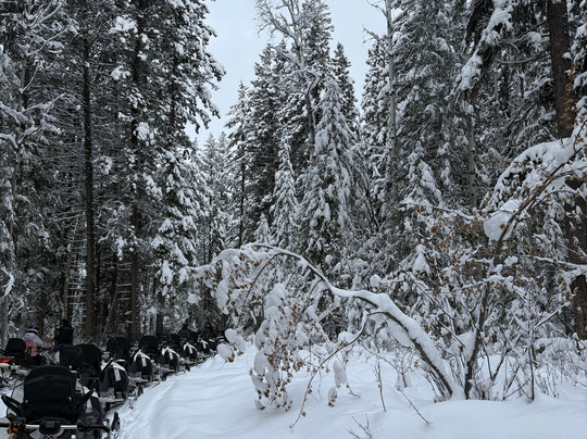 White N’ Wild Snowmobile Tours-戈尔登必去景点