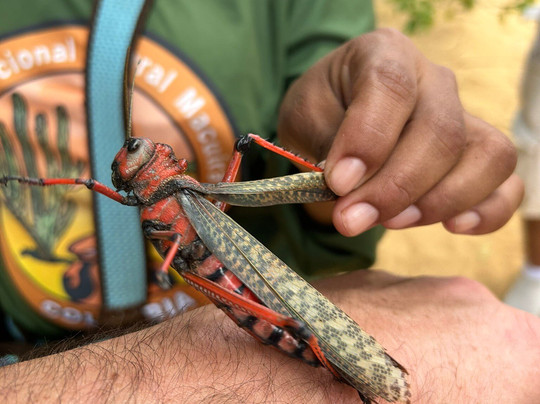 History Travelers-Riohacha必去景点