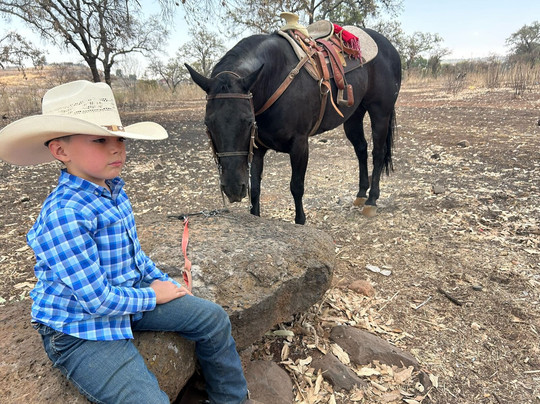 Hotel Victoria Ejecutivo主图
