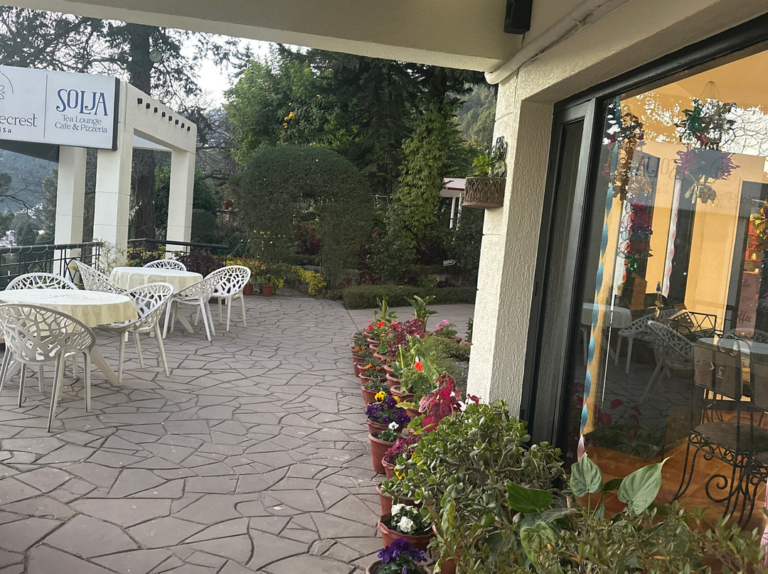 8fold-pinecrest By Larisa, Bhimtal主图