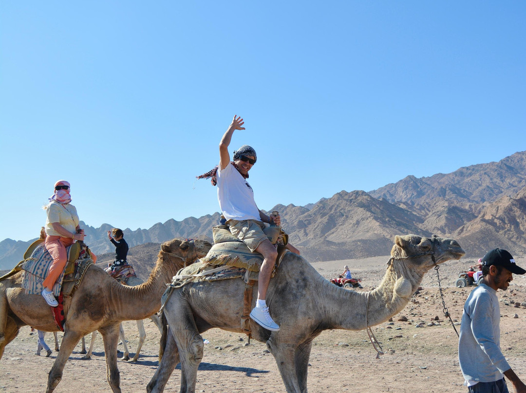 Pyramids Diving Center-沙姆沙伊赫必去景点