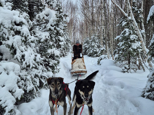 Alaskan du Nord-La Baie必去景点