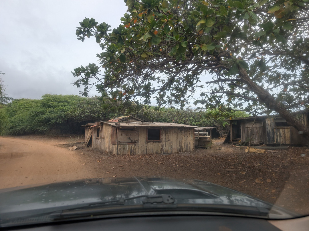 Expeditions Lahaina/Lanai Passenger Ferry-拉海纳必去景点