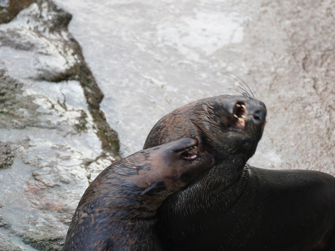 Afrykarium-弗罗茨瓦夫必去景点