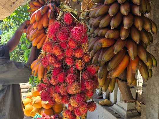 Ceylon Voyageur-Gampaha必去景点