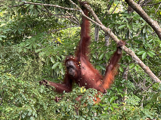 Unearth Adventure-拉布拉多必去景点