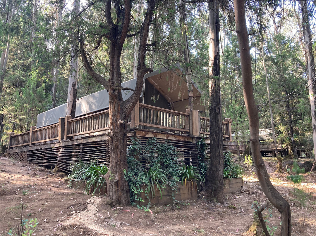 Kuriftu Entoto Adventure Park-亚的斯亚贝巴必去景点