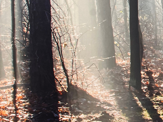 Hotel Paffhausen主图