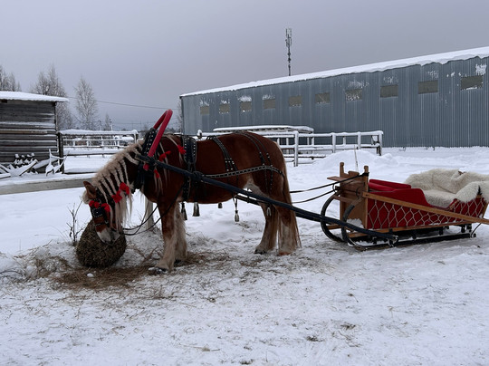 Park otdikha Veselyovo主图