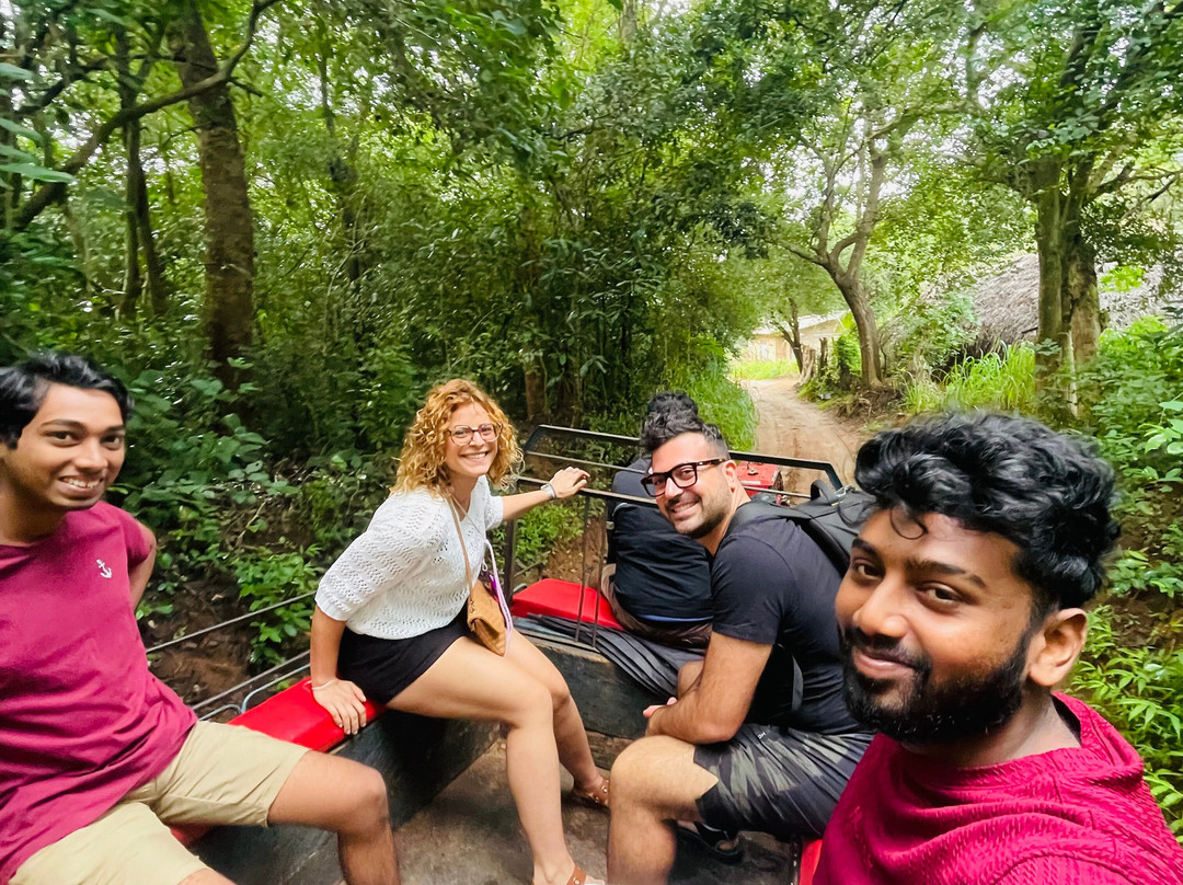 Srilanka best tour & taxi service - Abura Travel-美蕊沙必去景点
