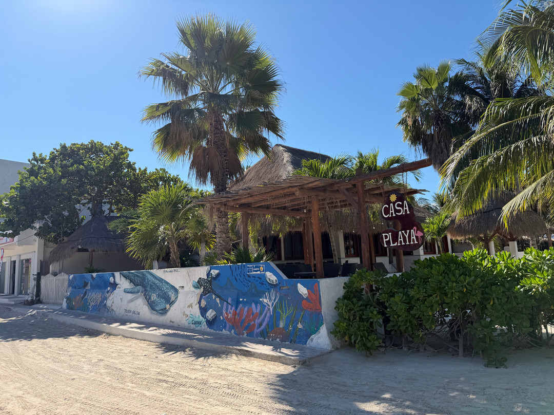 Agence D'excursion en Français Electric Bike Rental-普拉亚德尔卡曼必去景点