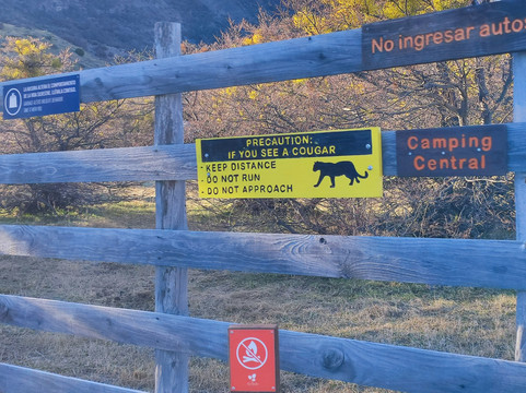 Booking Patagonia-纳塔莱斯港必去景点