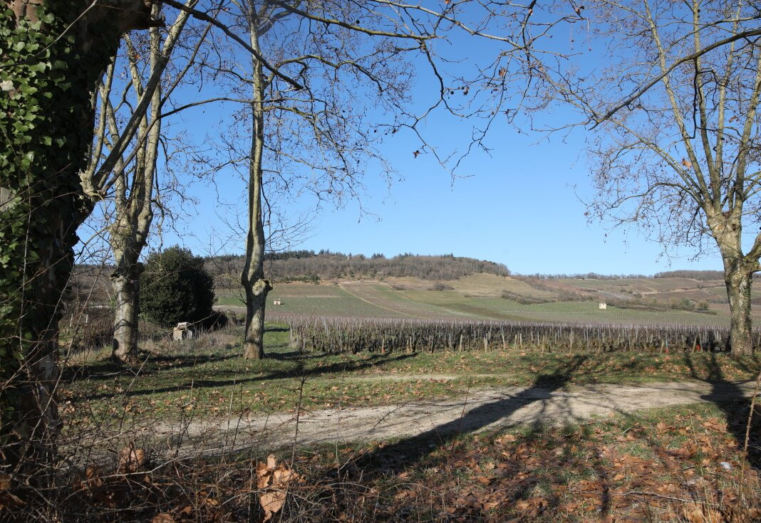 Statue de Notre Dame de Varanges-Givry必去景点