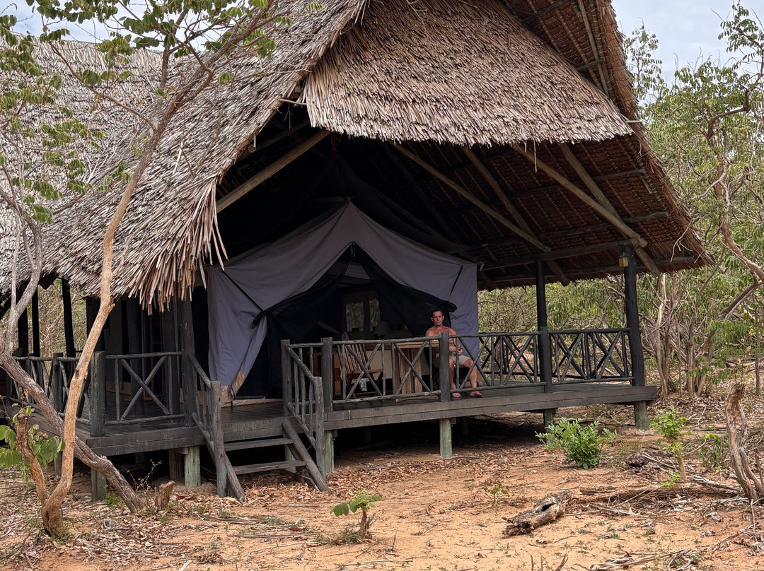 Rufiji River Camp主图