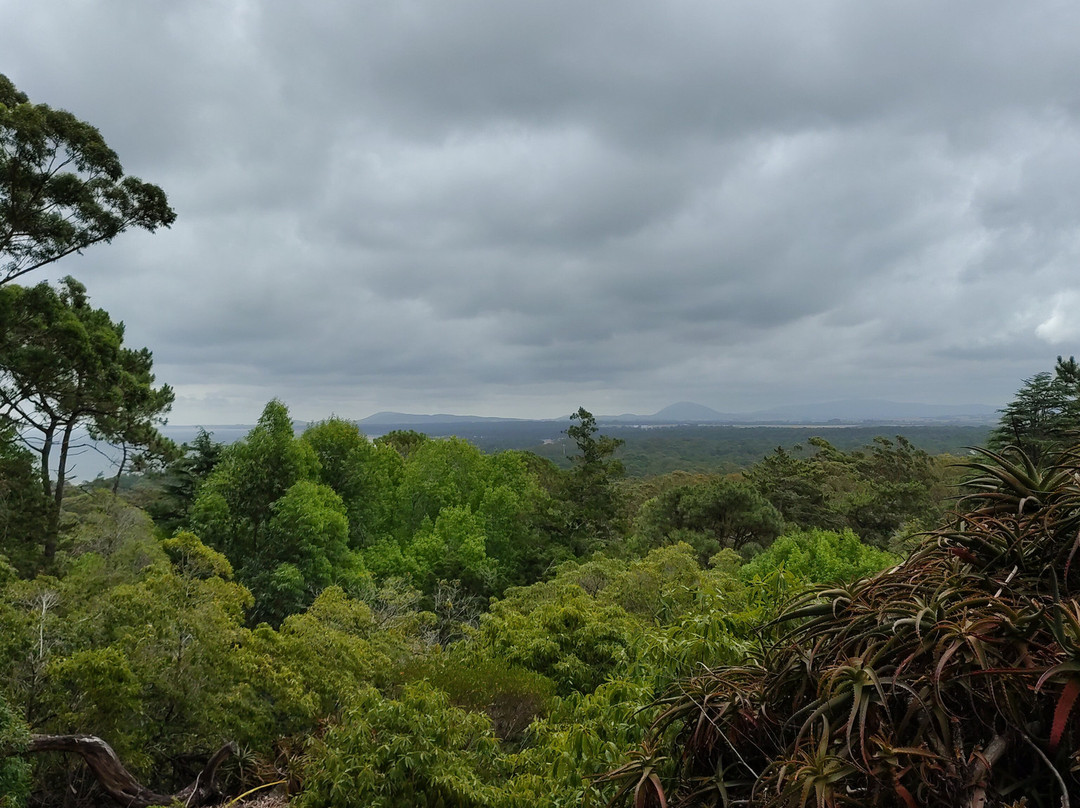 Arboretum Lussich-埃斯特角城必去景点