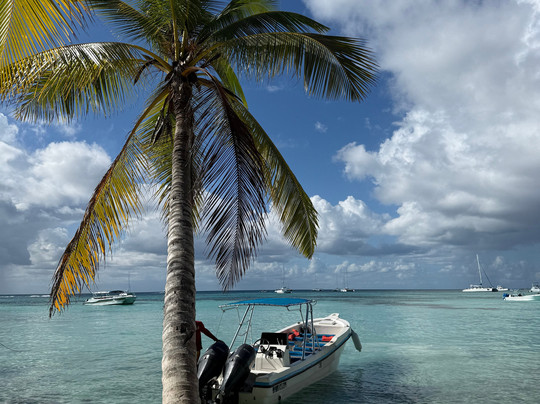 Muy Divertido Excursiones-Dominicus必去景点
