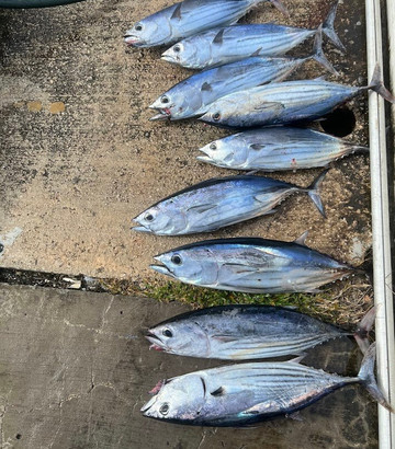 Caribbean Fishing Academy-圣胡安必去景点