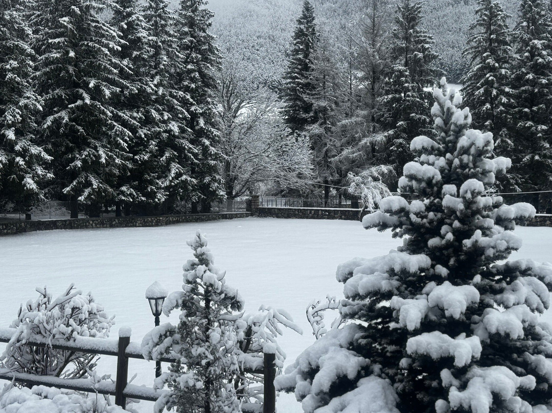 可科恩酒店主图