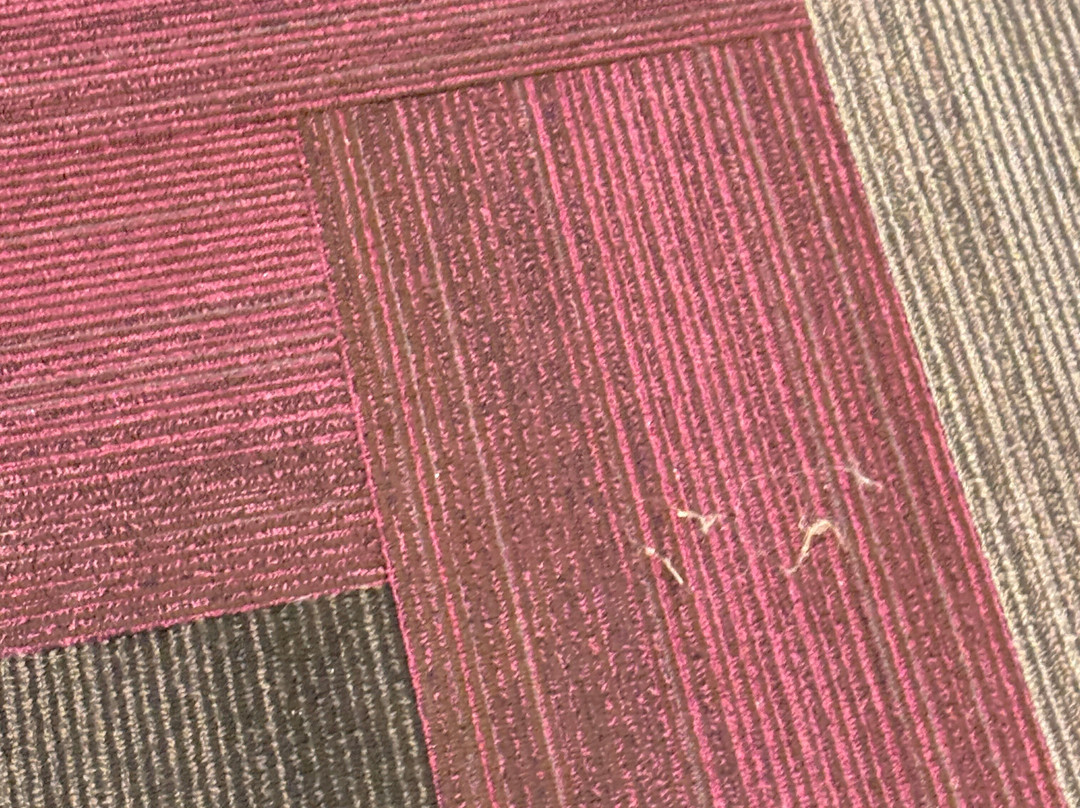 Tru by Hilton Lehi主图