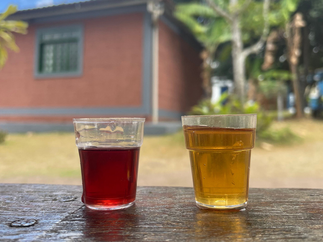 Sitio Casa de Vo