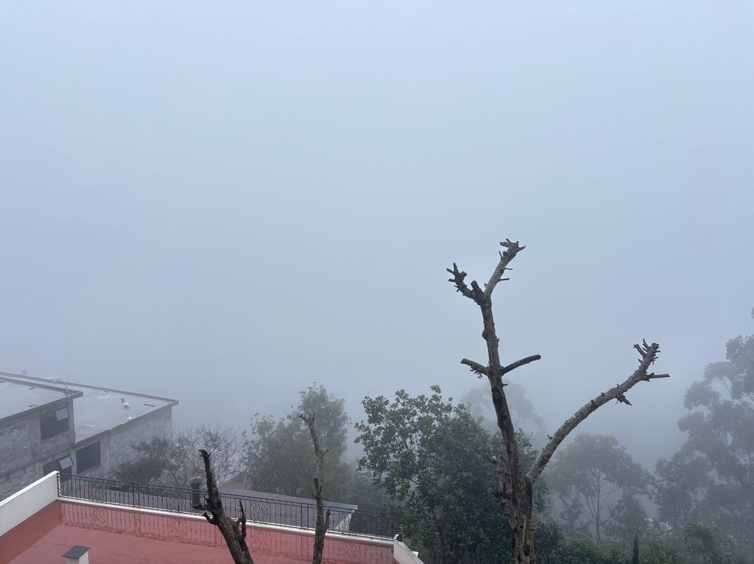 Mango Hill Yercaud主图