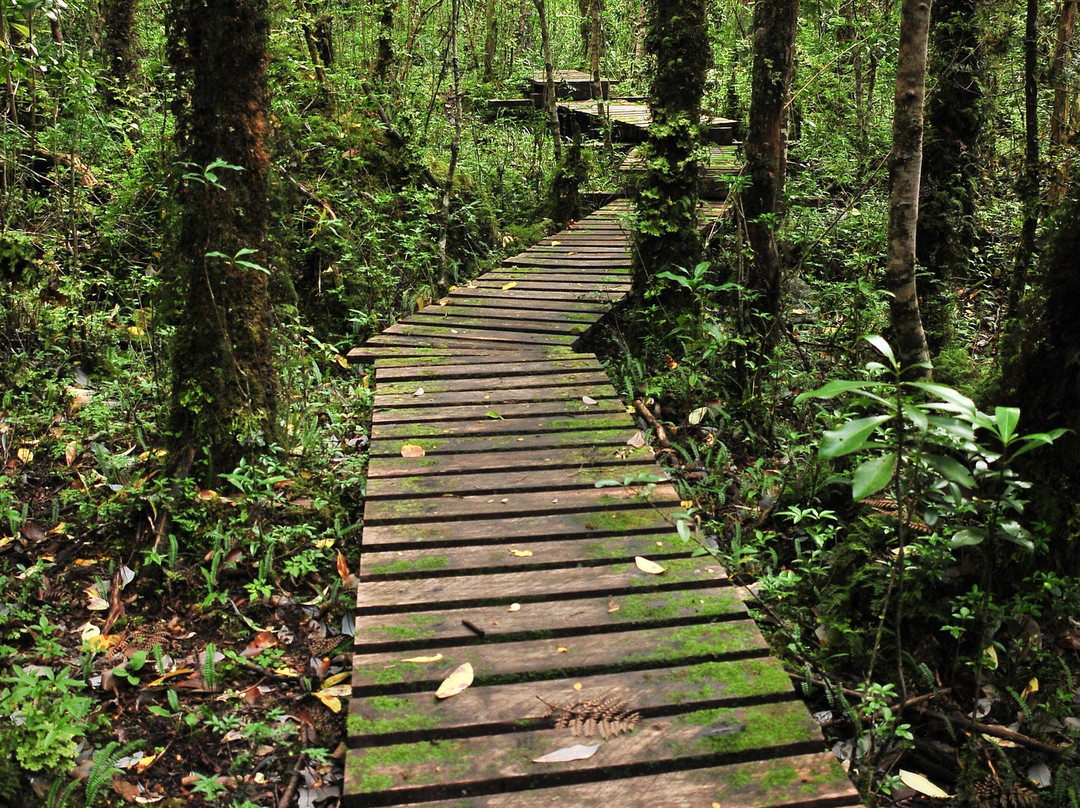 Parque Exploradores-Puerto Rio Tranquilo必去景点