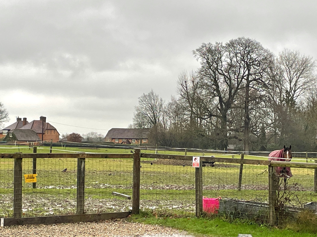 Active Tots-Stratfield Saye必去景点