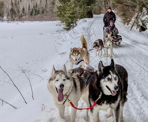 Winterdance Dogsled Tours-Haliburton必去景点