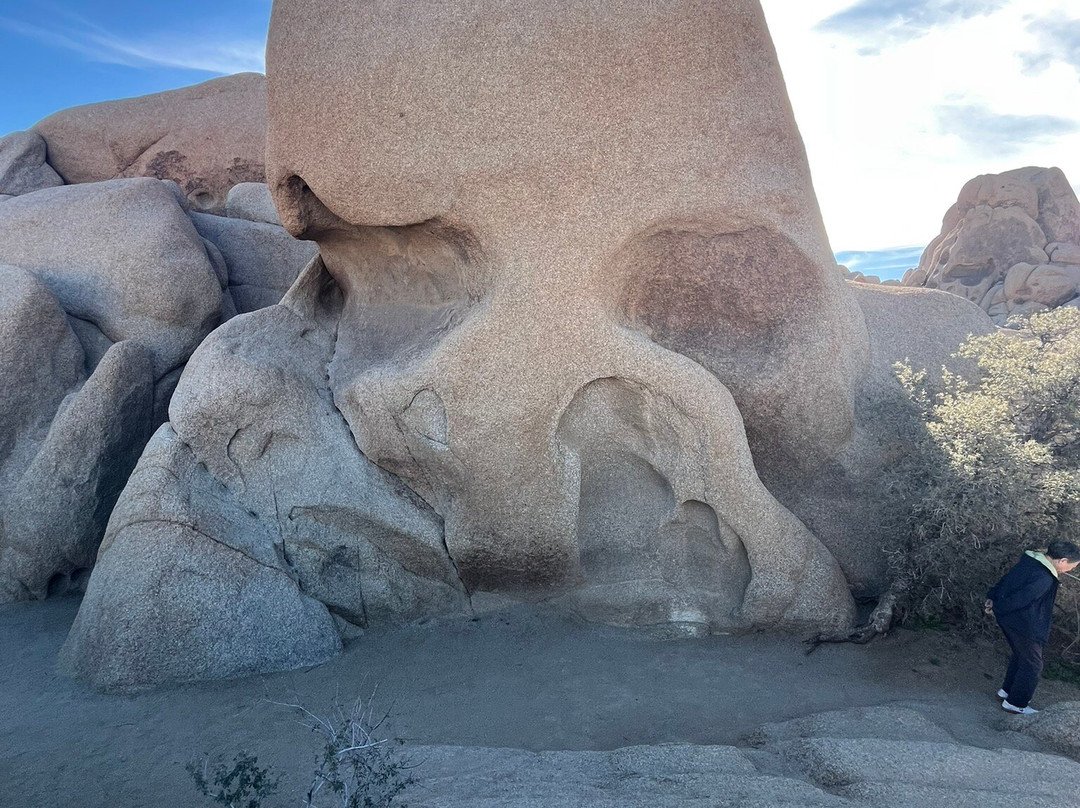 Joshua Tree National Park-约书亚树必去景点