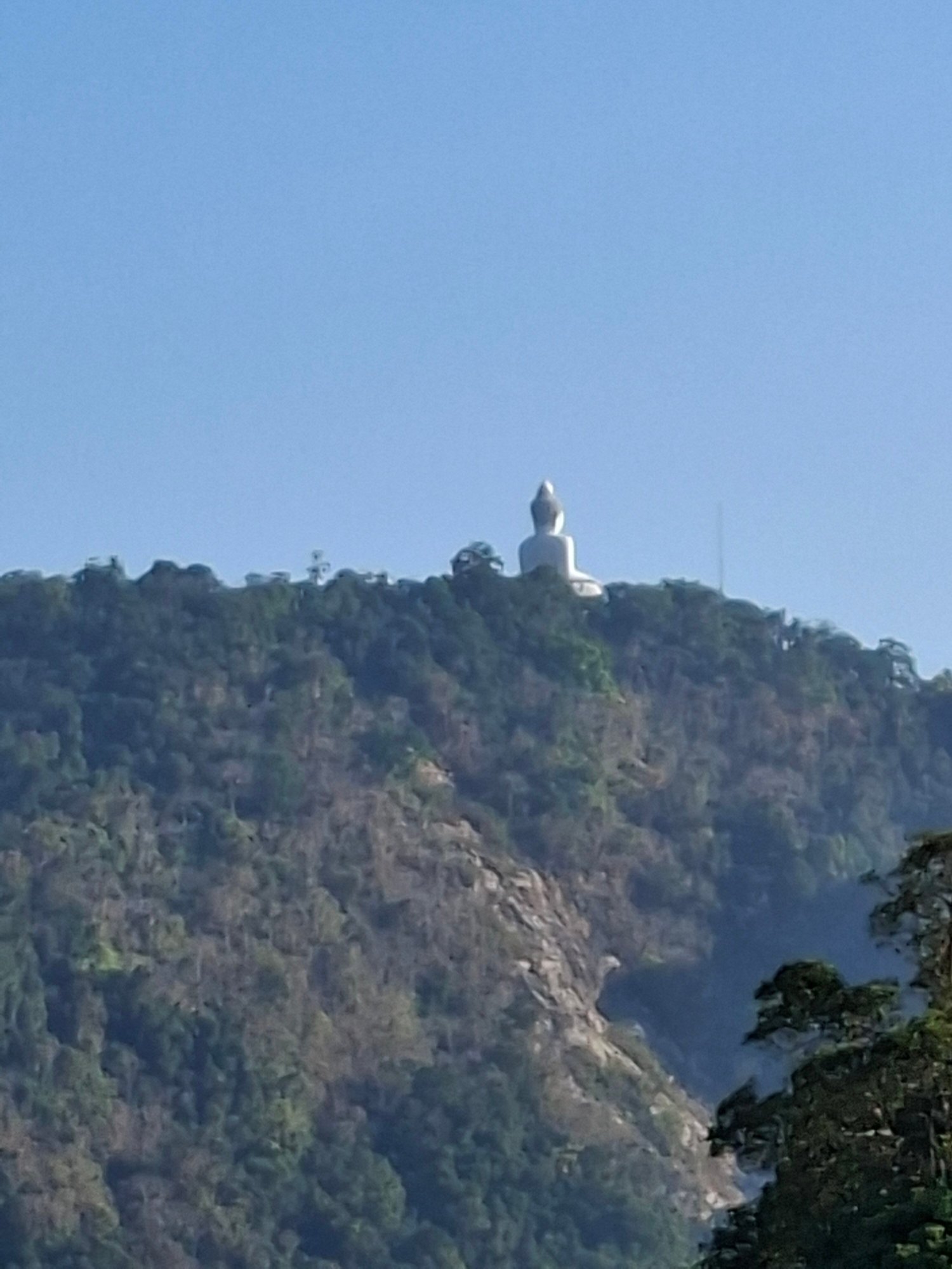 兰草度假村-官方