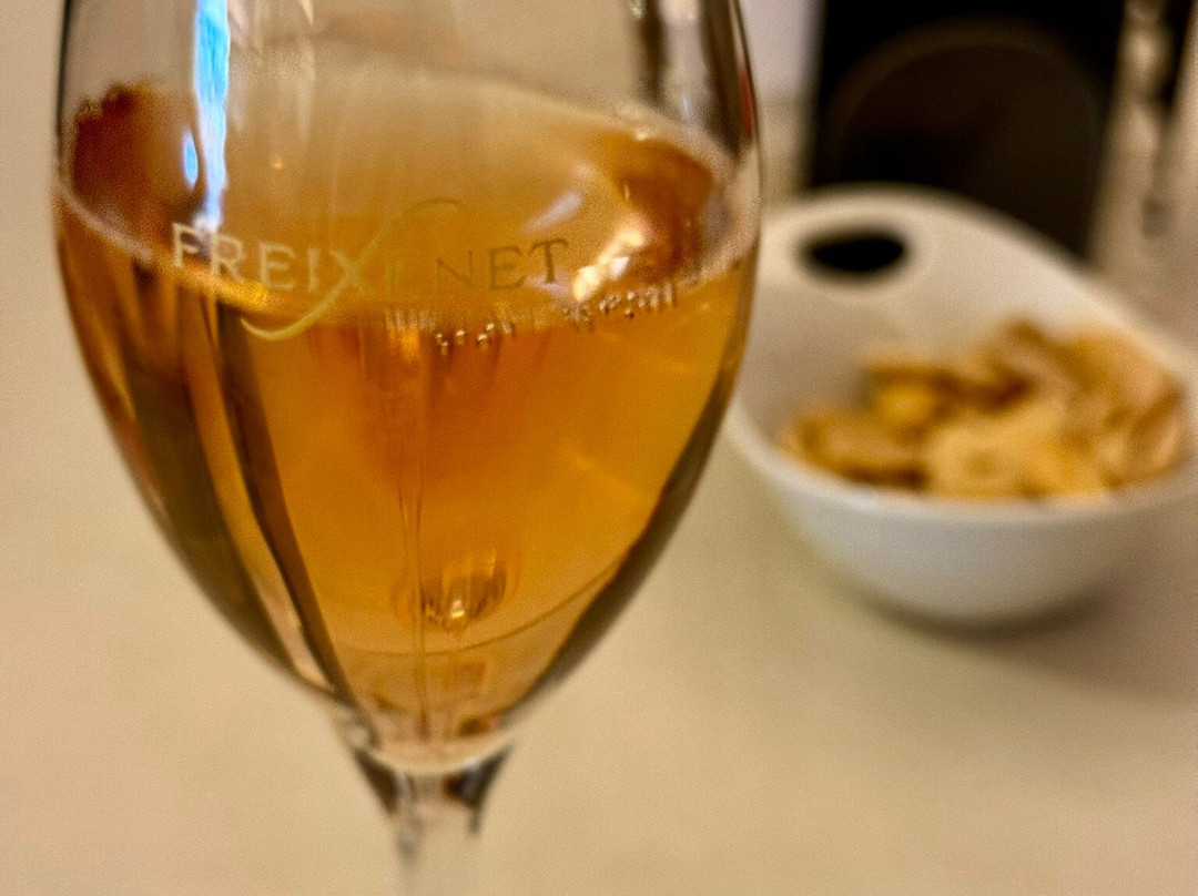 Freixenet-桑特萨杜尔尼达诺亚必去景点